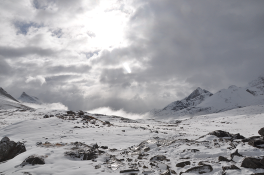 Jasper National Park