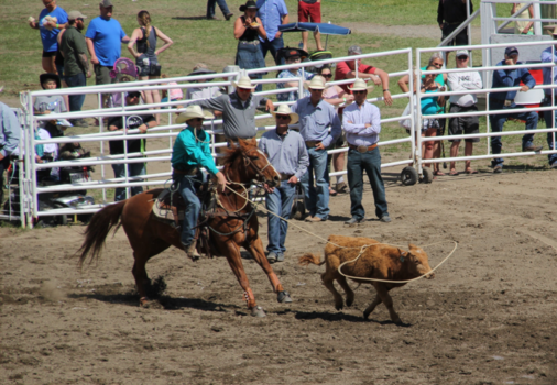 Canada - Falkland Stampede Rodeo