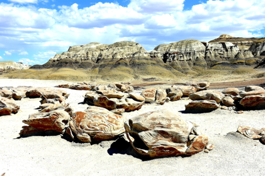 Verenigde Staten - Land of the Free