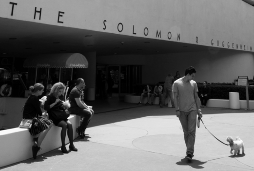 Verenigde Staten - NY puppy love