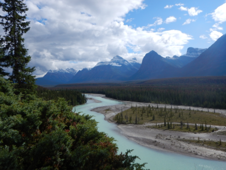 Jasper National Park - Athabasca Valley, Jasper National Park