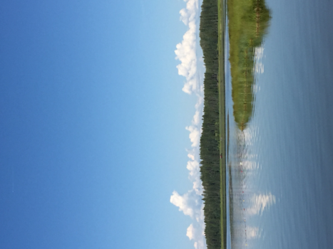 Rondreis Alberta - Vakantie