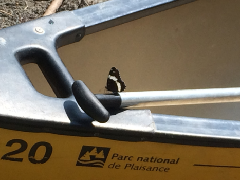 Rondreis Oost-Canada - Fellow Passenger