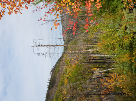 Kelowna - Moeder natuur op zijn mooist in Kettle valley railway
