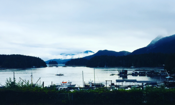 Tofino - Goodmorning Tofino