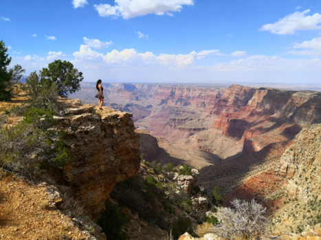 Grand Canyon - The perfect view