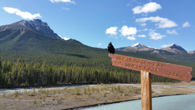 Rondreis West-Canada - halooOo