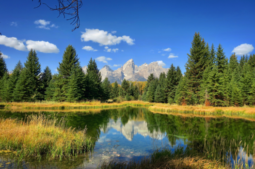 Verenigde Staten - Grand Teton NP (Wyoming)