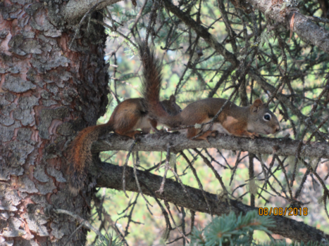 Rondreis Oost-Canada