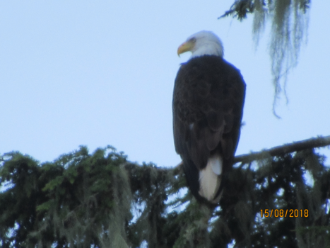 Rondreis Oost-Canada