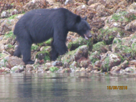 Rondreis Oost-Canada