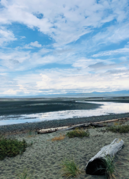 Vancouver Island - Parksville na een nacht regen