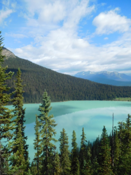 Lake Louise - Blue/green