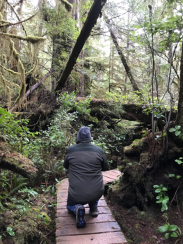 Vancouver Island - Volle concentratie