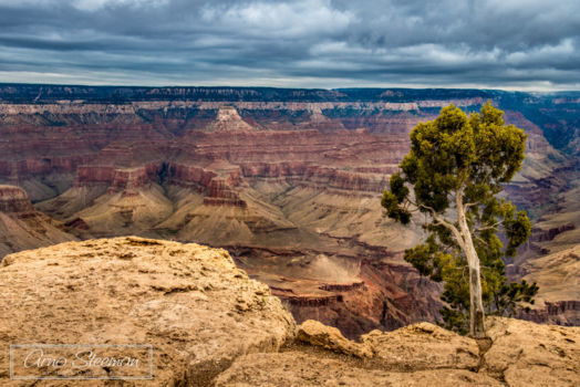 Grand Canyon - View over Grand Canyon