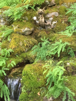 Vancouver - Butchart gardens Vancouver Island