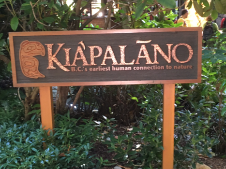 Vancouver - Capilano Suspension Bridge