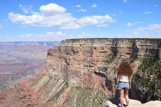 Grand Canyon - On top