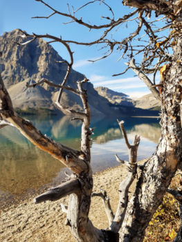 Rondreis West-Canada - Canada