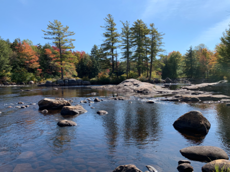 Verenigde Staten - Indiane summer