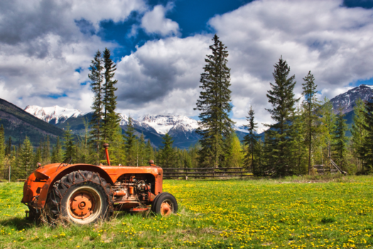 Rondreis West-Canada
