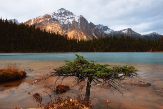 Jasper National Park - Cavell Lake, Jasper National Park , Alberta, Canada