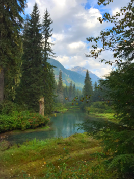 Rondreis Oostkust Canada - Sprookjesachtige bossen in Canada