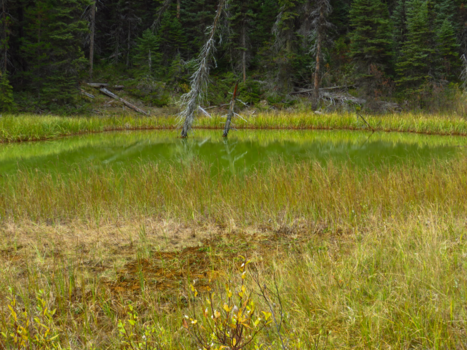 Canada - Paint potts