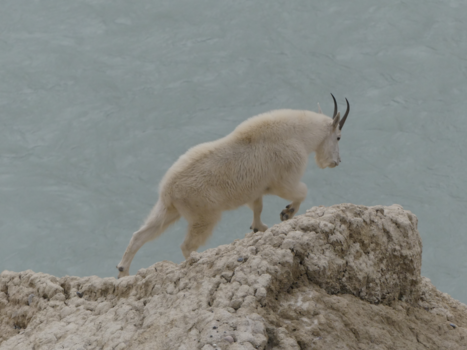 Canada - "In balans"