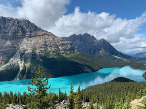Rondreis West-Canada - Ongelooflijke schoonheid van Peyto Lake