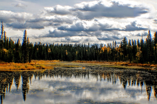 Rondreis West-Canada - Into the Indian summer.