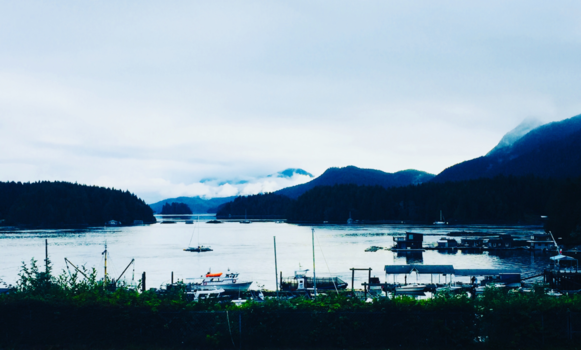 Tofino - Tofino in the morning