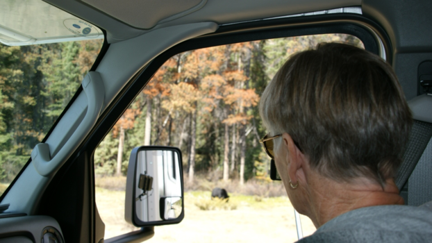 Camperreis Canada - Veilig in de camper ; beren spotten onderweg.