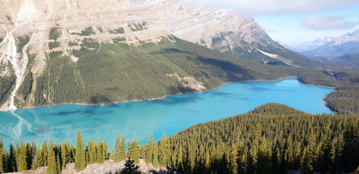 Banff National Park - Peyto Lake