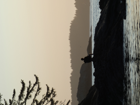 Vancouver Island - Genieten!