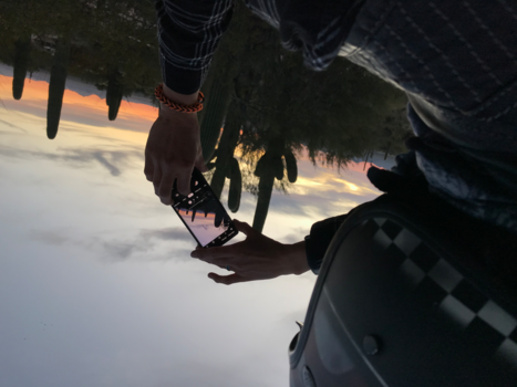 Verenigde Staten - Saguaro National Park