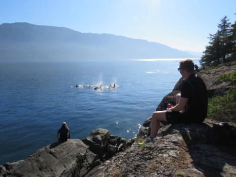 Rondreis Oost- en West-Canada - Killer view with killer whales