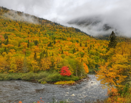 Québec - Indian Summer in Oost Canada