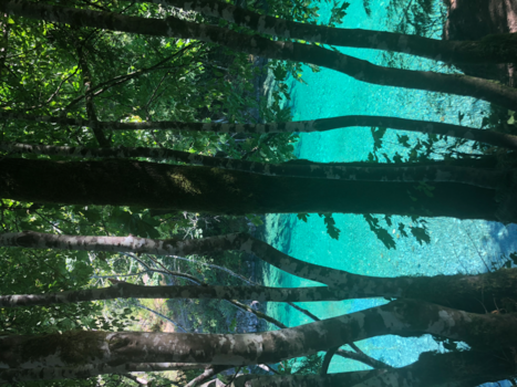 Rondreis West-Canada - Coffee break