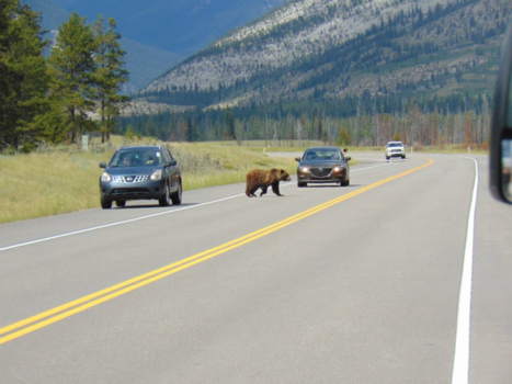 Rondreis West-Canada - One moment please