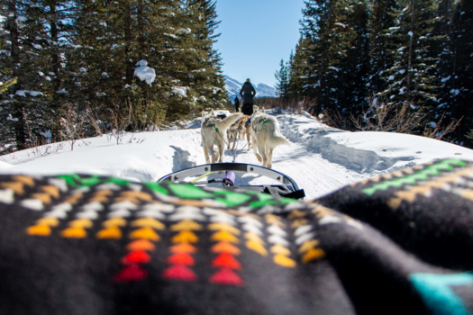 Banff National Park - Hondensleeën in Banf Nationaal park!