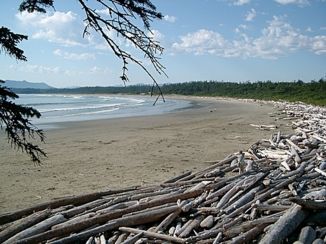 Vancouver Island - Longbeach