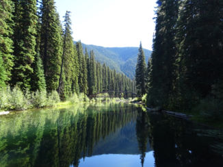 Canada - E.C. Manning Provincial park