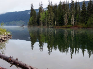 Canada - Mediazin crossing
