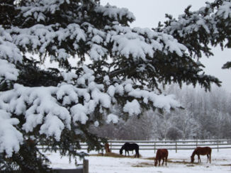 Canada - wonder der natuur