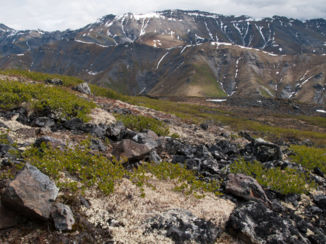 Canada - Wandeling nabij Dawson City, uitzicht op panorama's