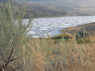 Canada - Spotted Lake