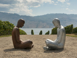 Kelowna - De wijngaard van Mission Hill