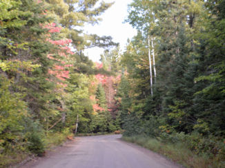 Algonquin provincial park - Zijweg naar meer