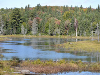 Algonquin provincial park - Overal meren
